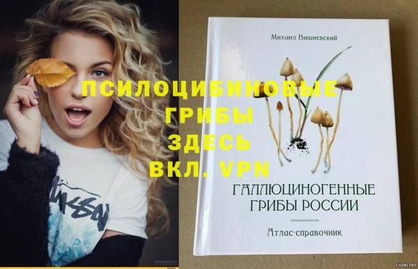 кокаин колумбия Дмитриев