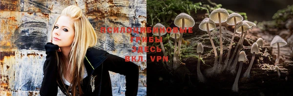кокаин колумбия Дмитриев